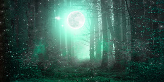 幽蓝色简约月亮森林星星点点梦幻森林背景图